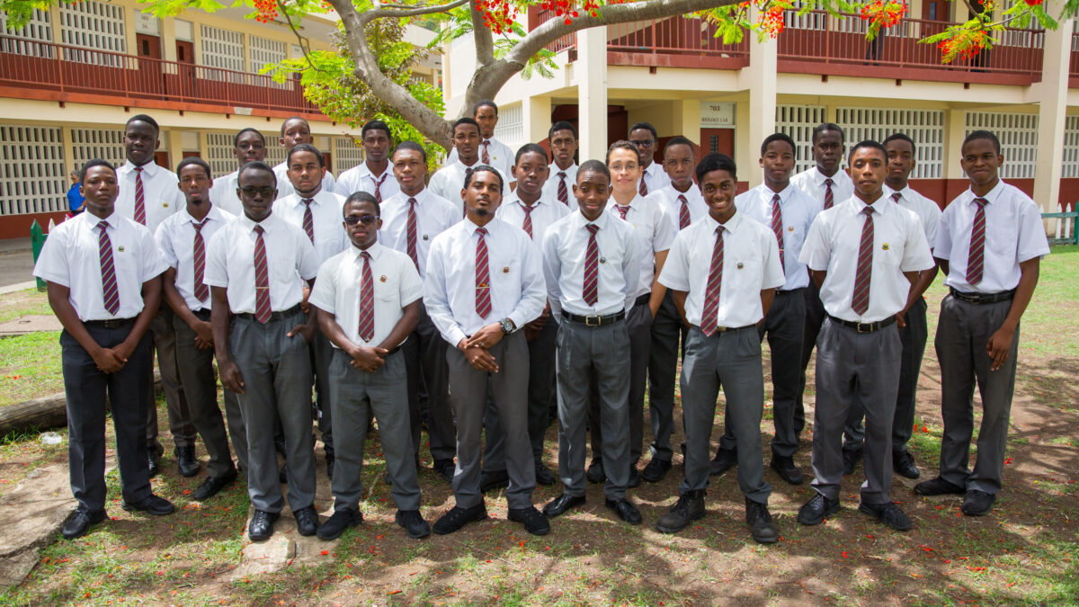 Why StudentAlumni Mentoring Program Is Crucial In Attracting More