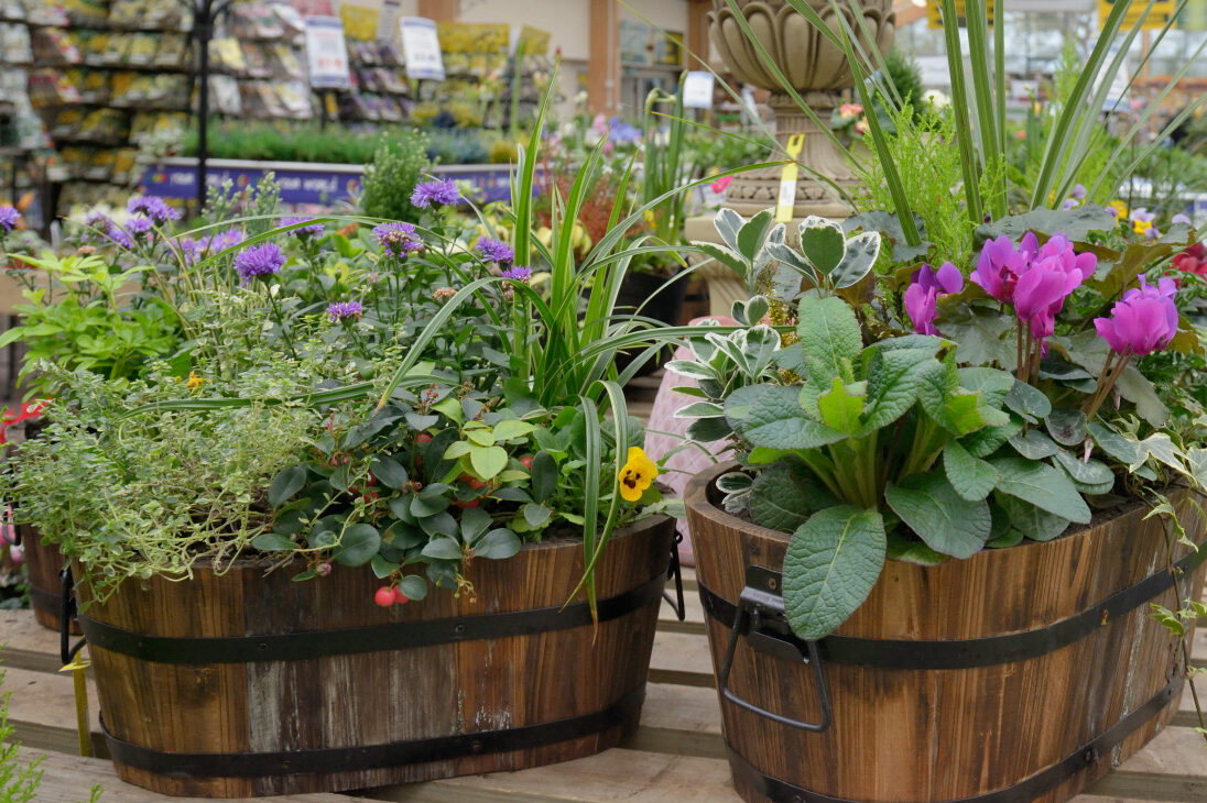 GCA Garden Centre Association