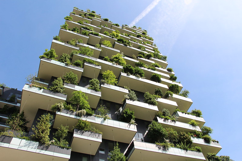 How to transform cities into urban forests Global Center on Adaptation