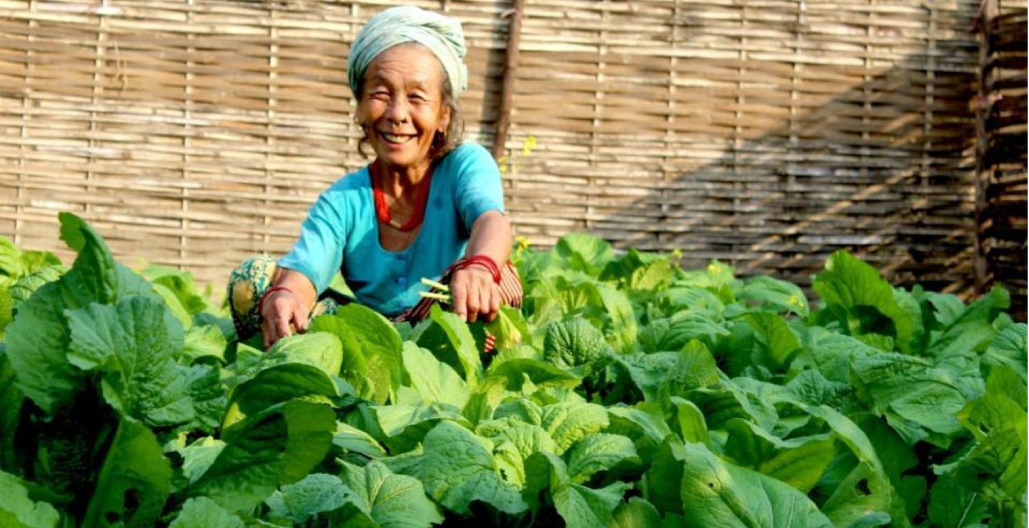 Beating Drought in Nepal Water Management in the Chure region of Nepal