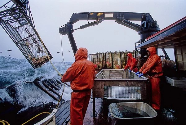 Catching Crabs in Alaska, it's Not What it Used to Be