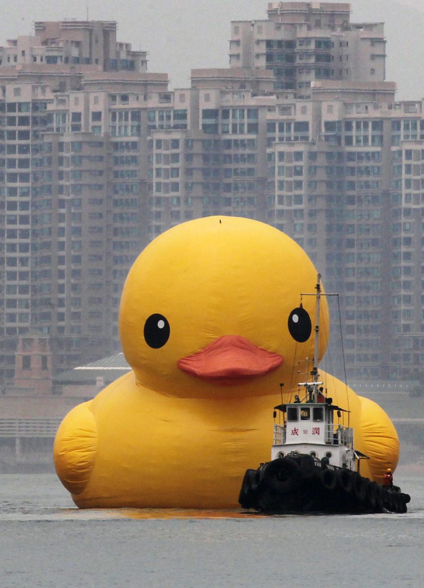 Ship Photos of The Day Giant Rubber Duck Arrives in Hong Kong [UPDATE!]