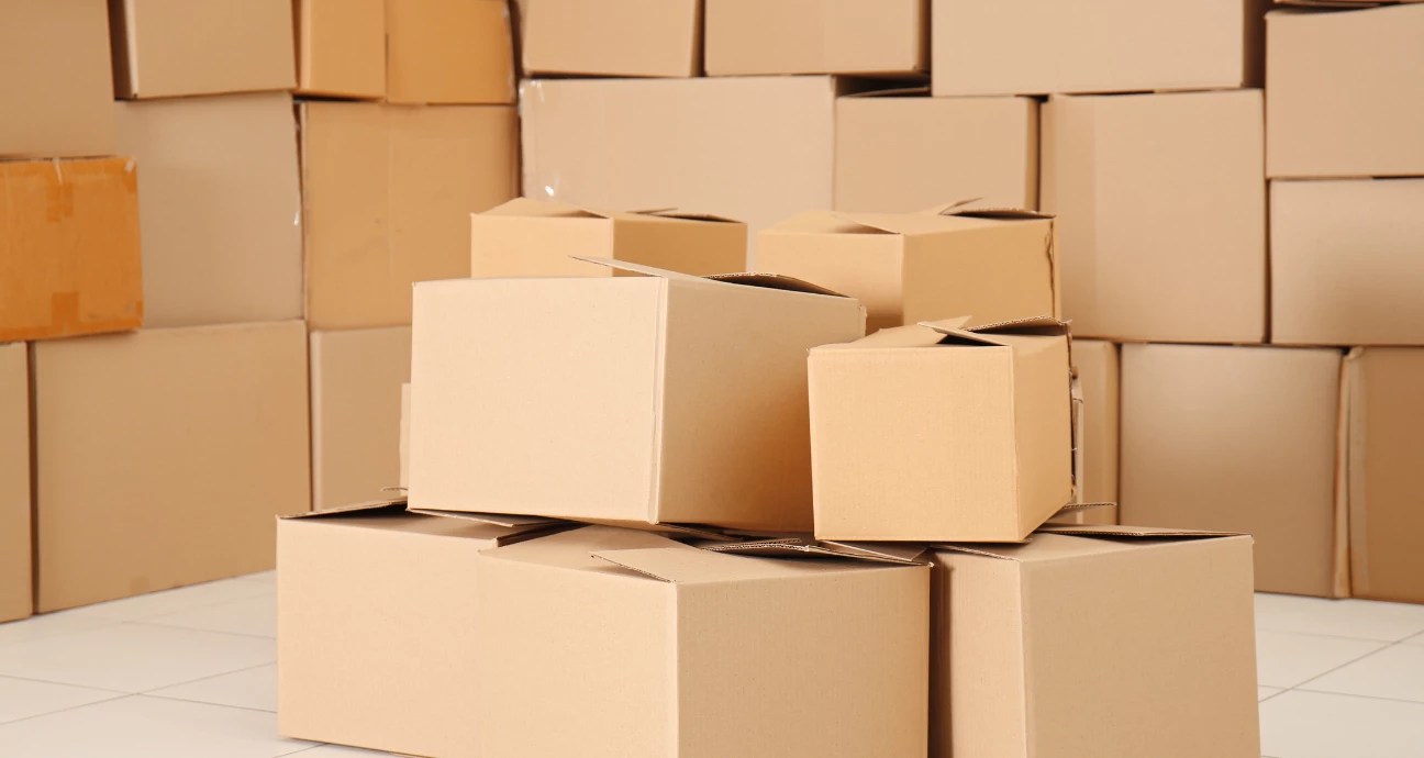 Carton Box Design Types for Every Packaging Need