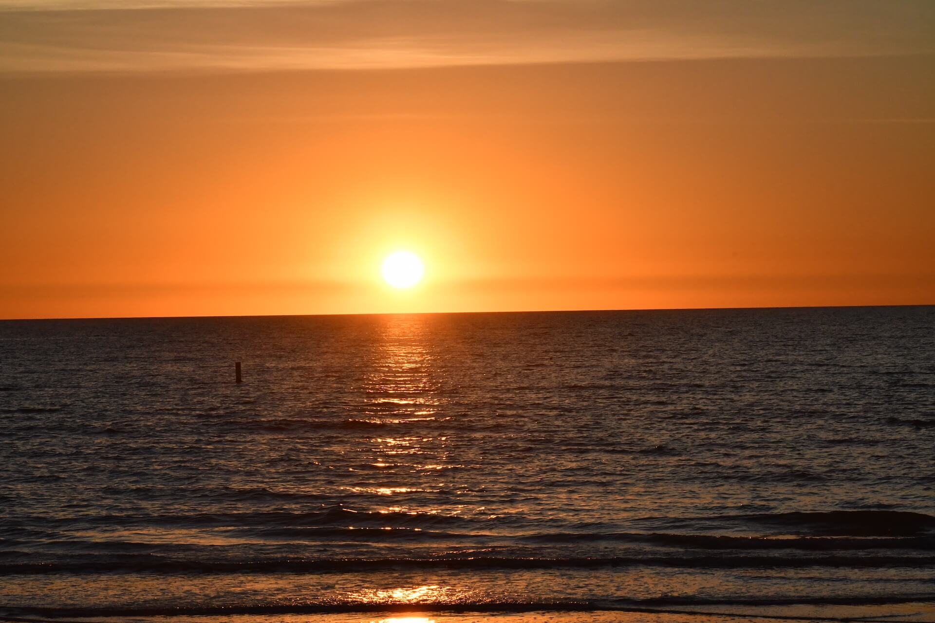 Egmont Key Trip Gulf Coast Charters St. Pete Beach, FL Tours