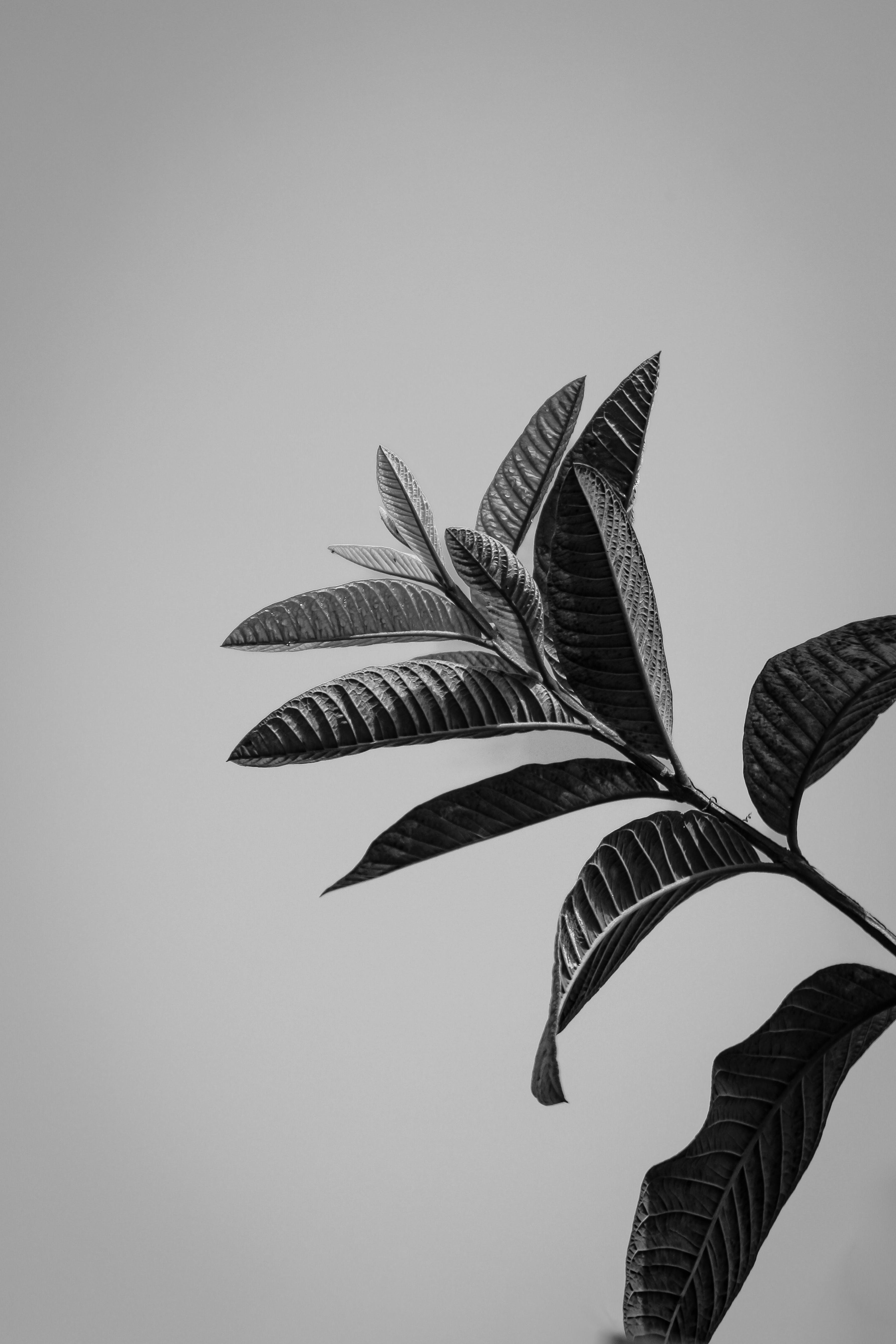 What Colors Does White and Black Make? Unveiling the Secrets of Color