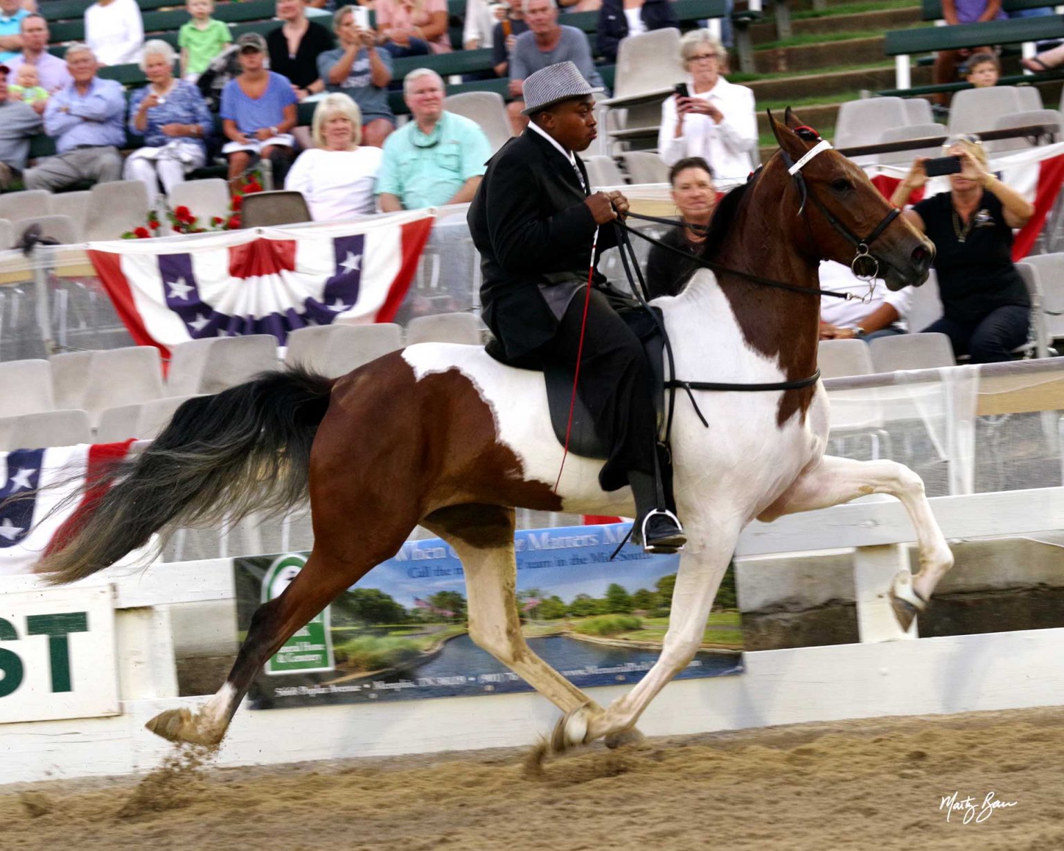 Flat Shod Racking Horses Germantown Charity Horse Show