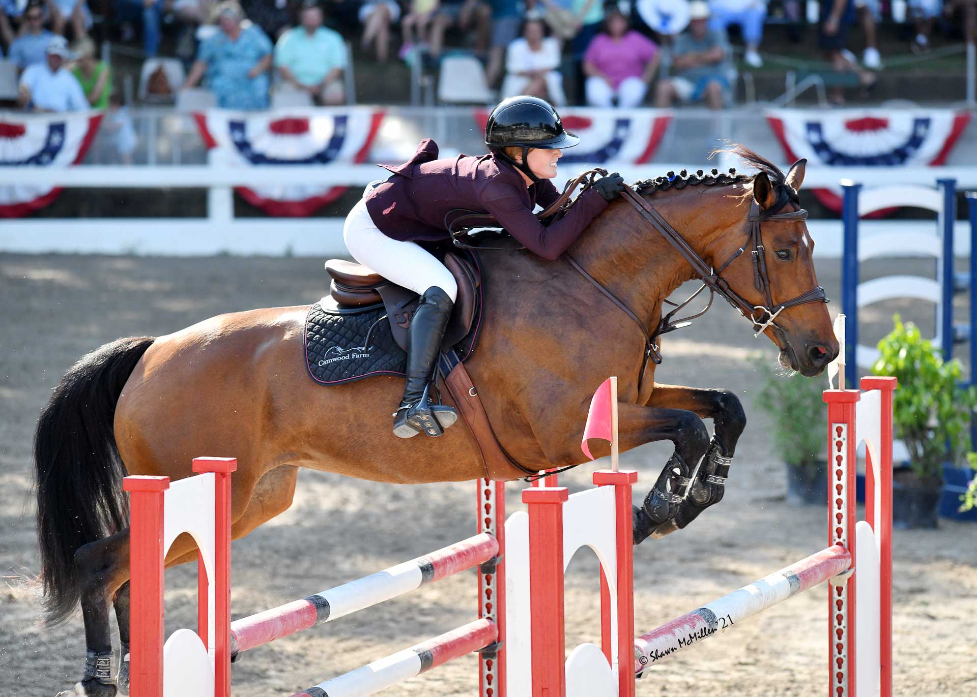 Special Classes & Classics Germantown Charity Horse Show