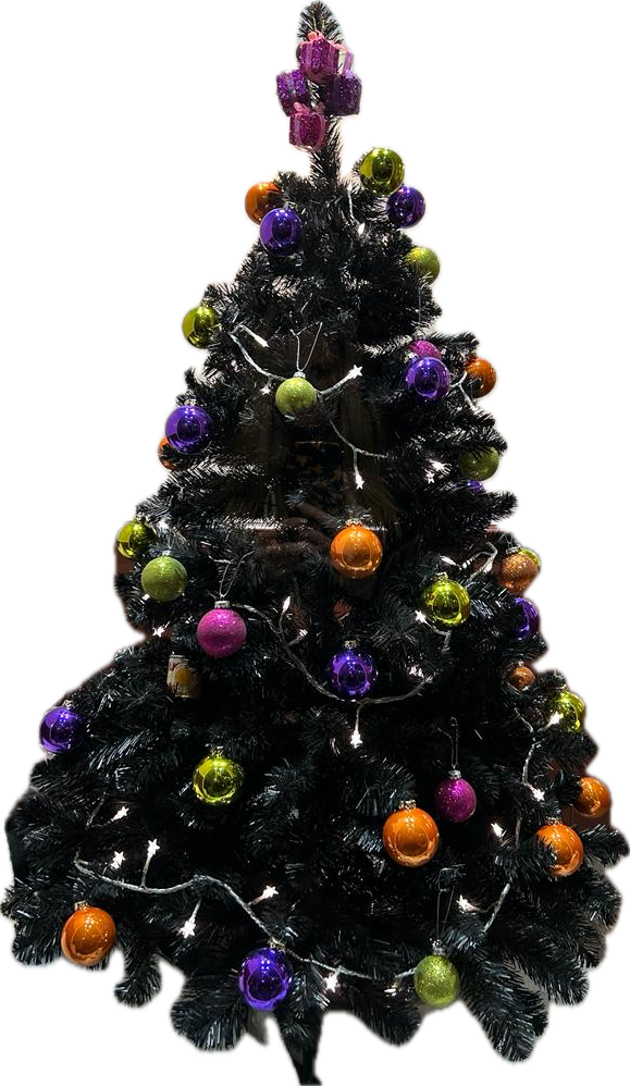 Christmas 2023 G C Johnson