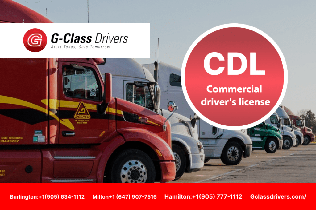 How to Get a Commercial Driver's License? Types, Tips & Tricks