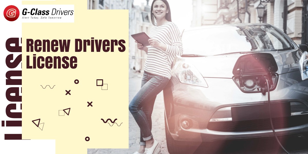 How to Renew Drivers License in Canada Process & Requirement
