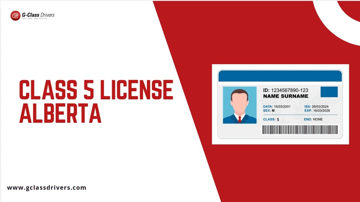 Class 5 License Alberta Requirements, Tests, and Tips 2024