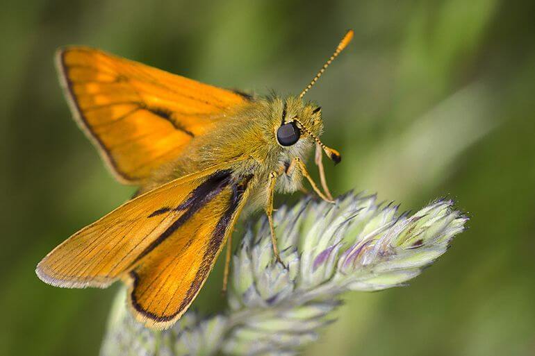 Texas State Online Real Estate Courses