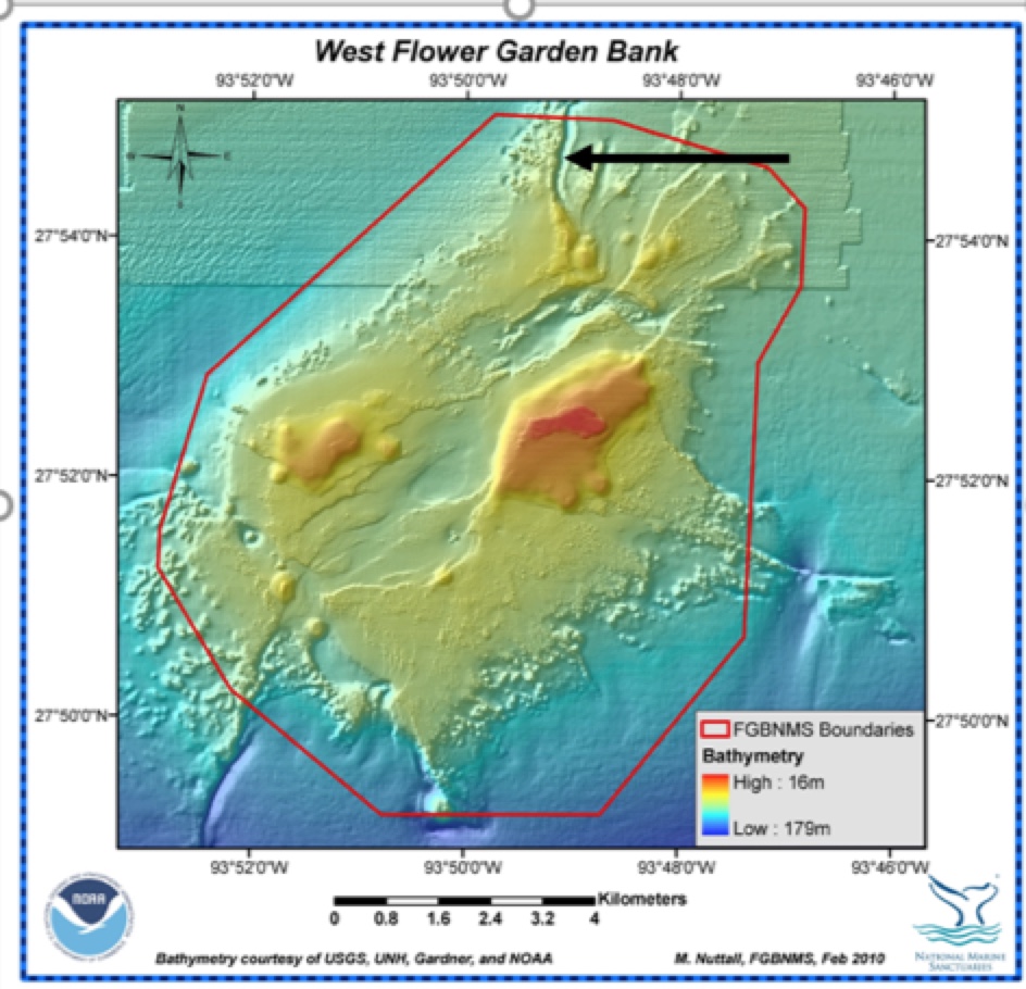 Undersea Feature Named in Memoriam of GCOOS, Texas A&M Oceanographer