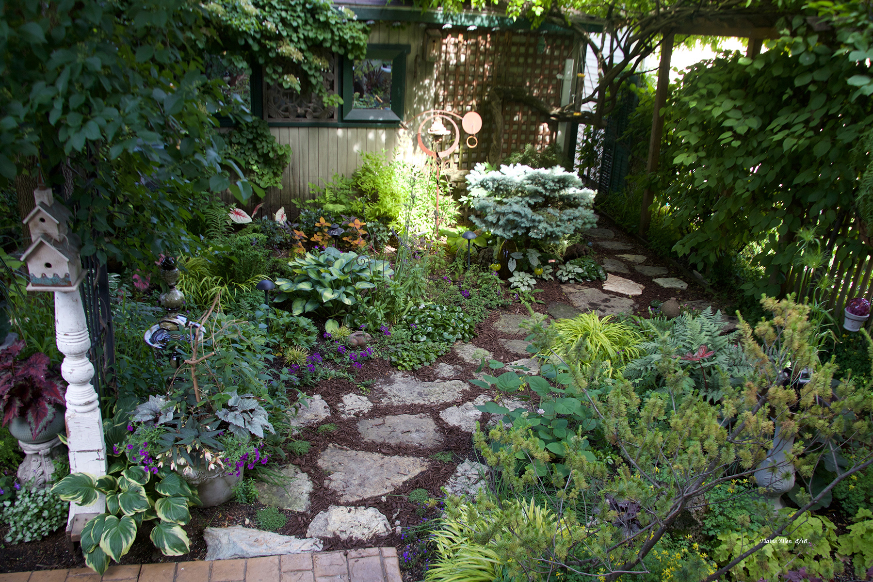 Bill Karges 10102018 Garden Club Oak Park River Forest