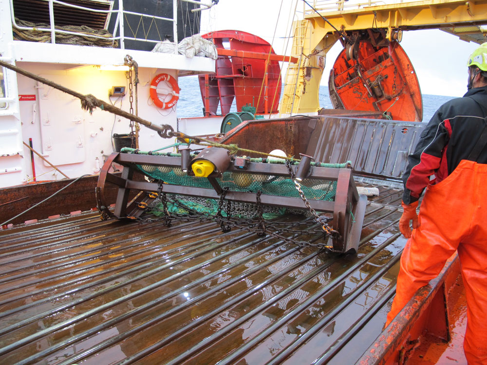 Longterm Benthos Monitoring Network LTM Benthos Greenland Climate