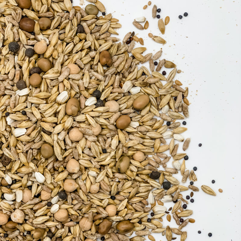 Summer Release » Green Cover Seed