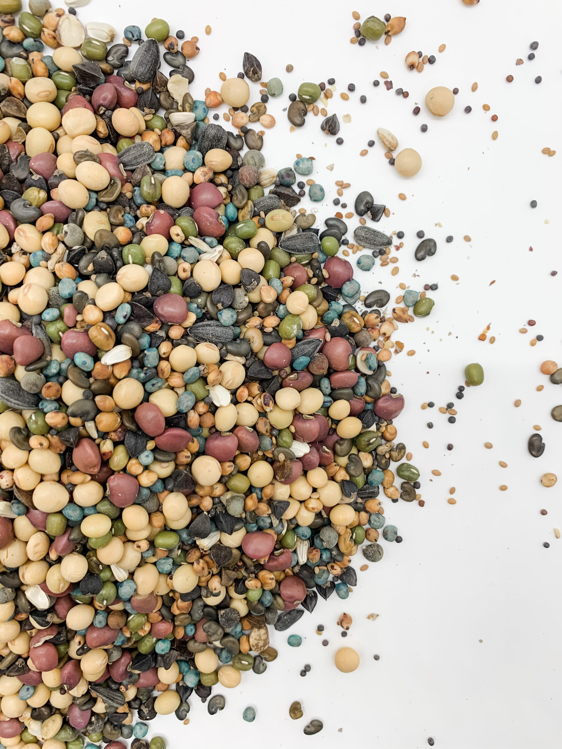 Summer Release » Green Cover Seed