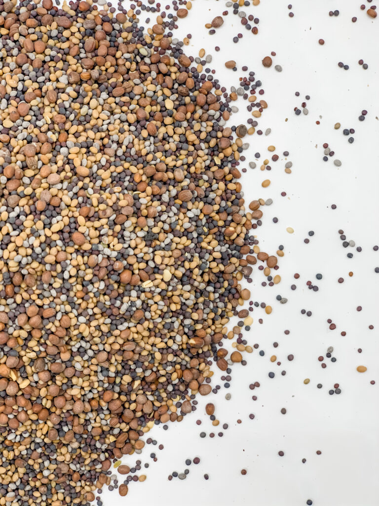 Brassica Plus Release » Green Cover