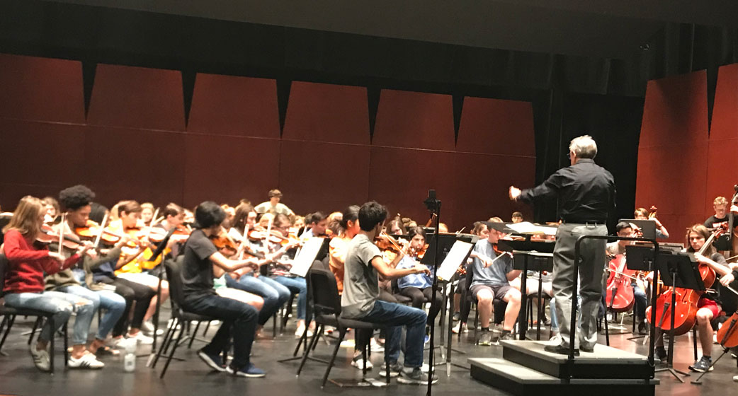 Greenville County Youth Orchestra Where Young Artists Take the Stage
