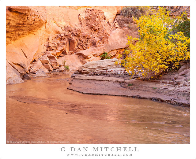 Box Elder, Bend in the Creek G Dan Mitchell Photography