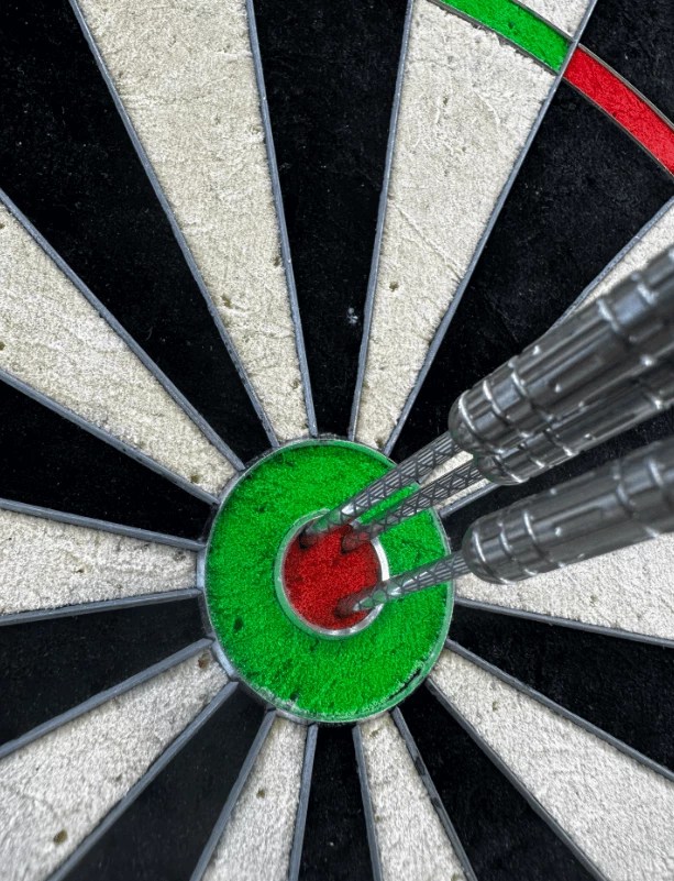 Decoding the Dartboard A Guide to Darting Terminology GDL180