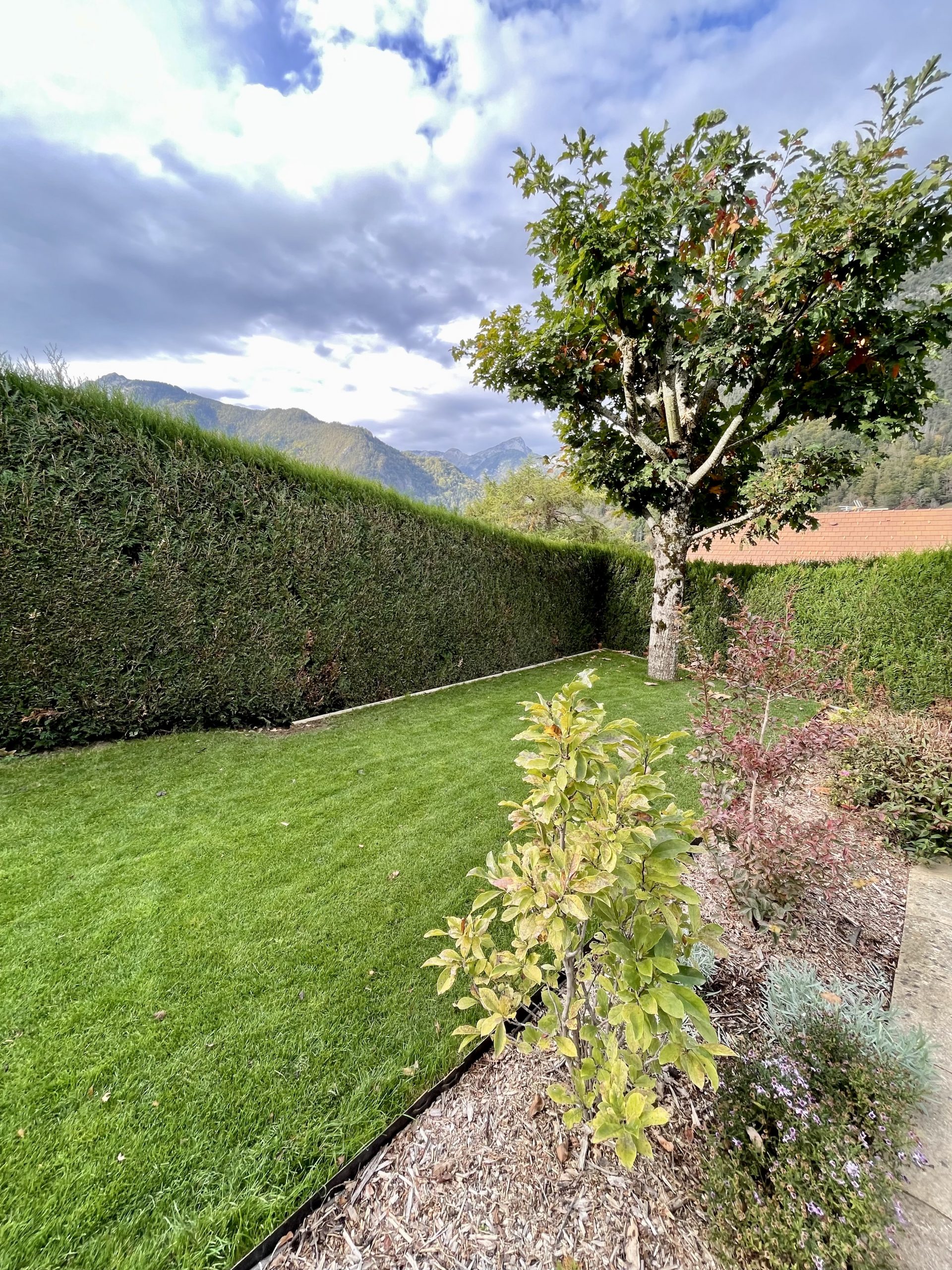 Gazon en rouleaux posé à Thones 400 m2 Département Haute Savoie