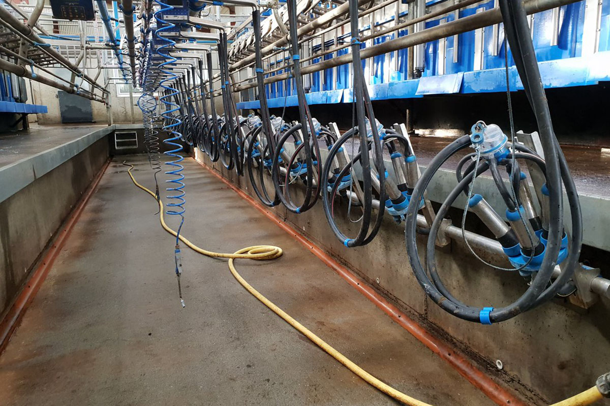 Milking Equipment Global Dairy Sulotions Private Limted