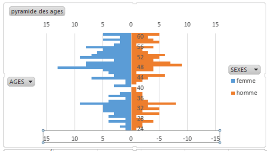 Exercice La pyramide des âges [EXCEL]