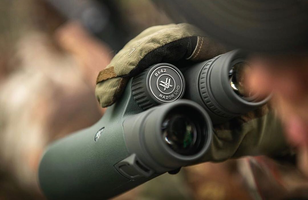 Best Binoculars Under 50 Gear Champ