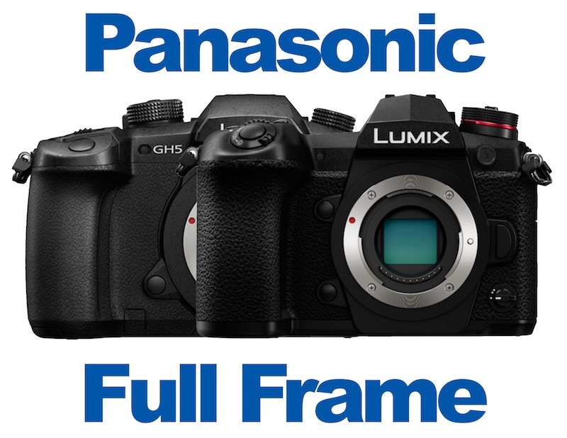 Panasonic Full Frame Camera Review Rumors Gear Mashers