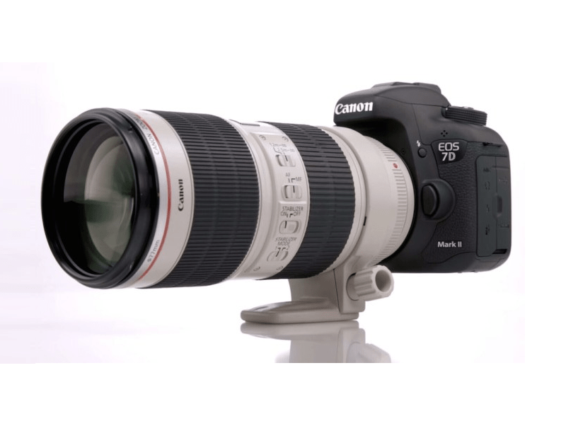 Canon to Announce a new APSc DSLR along with EOS 90D and 7D Mark III