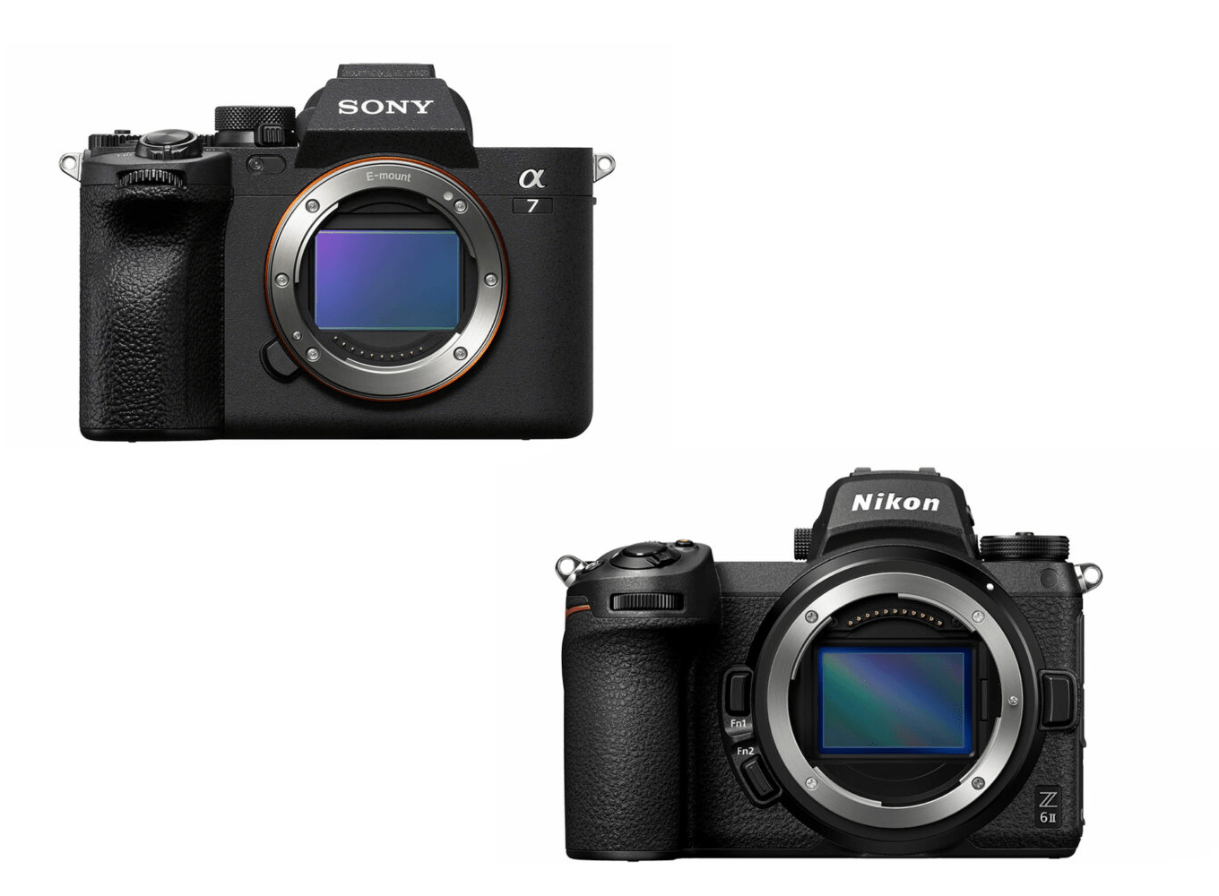 Sony A7 IV vs Nikon Z6 II The 10 main differences
