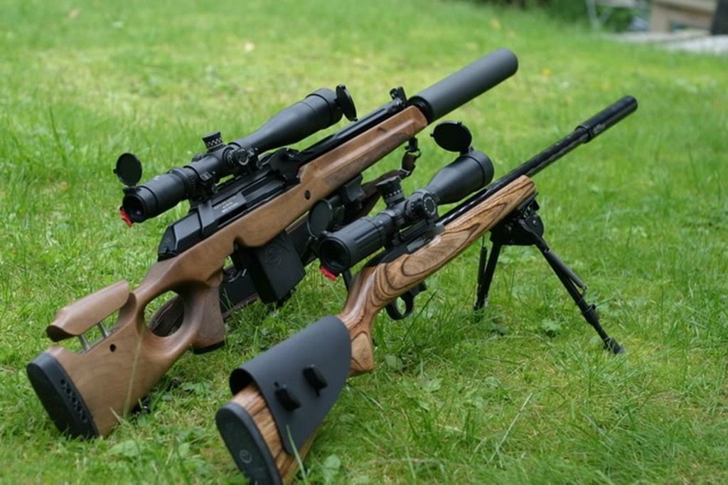 Gun of the Day Vepr Super .308 suppressed Ruger 10/22 suppressed