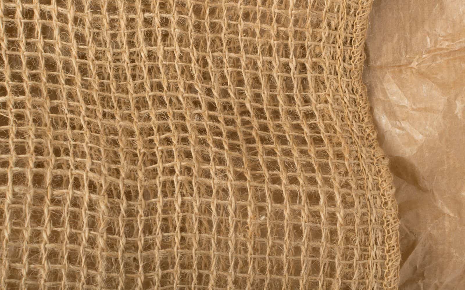 How To Keep Birds From Eating Grass Seed (Easy & Effective Way