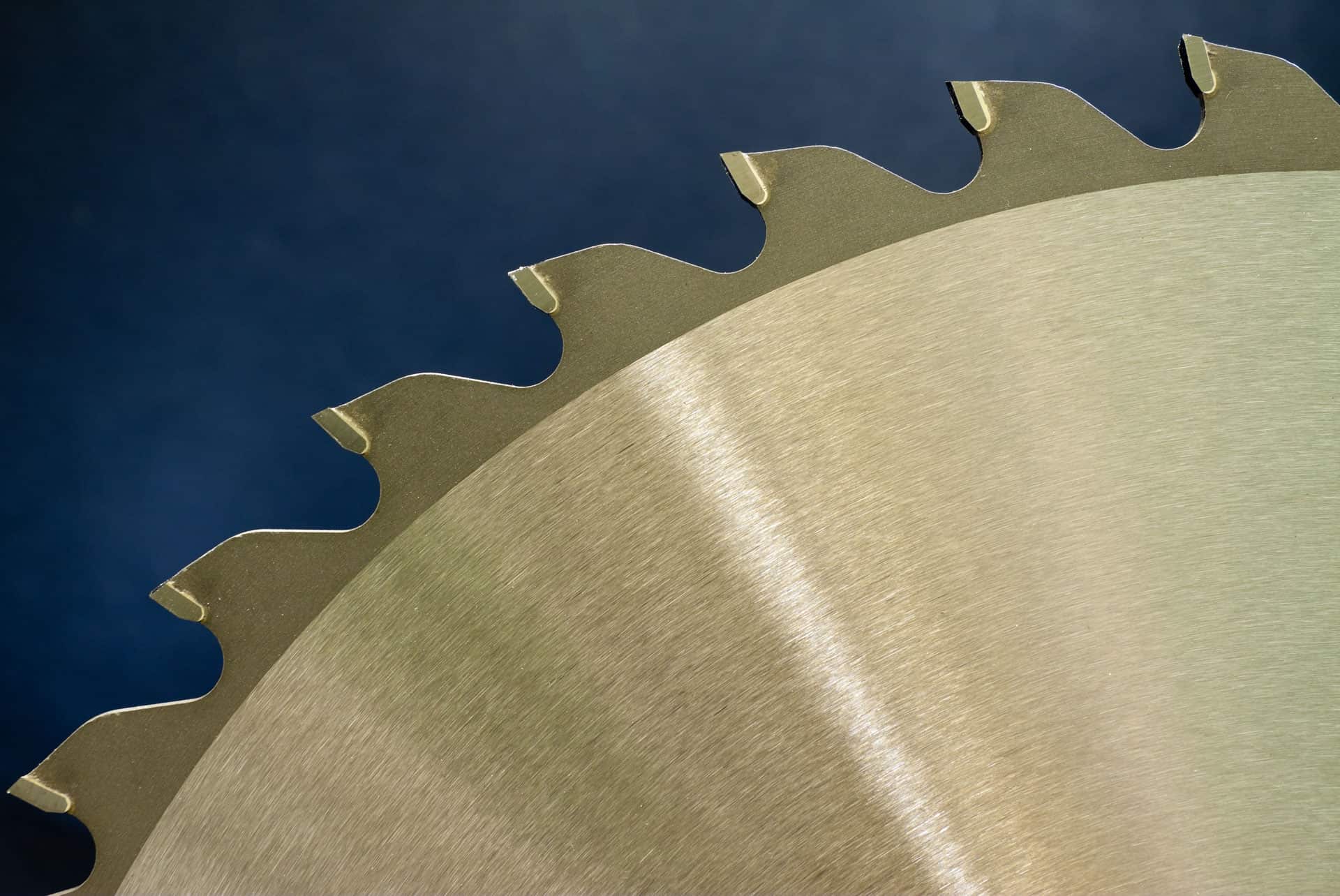 7 Best Track Saw For The Money In 2024 (Indepth Review) GearTrench