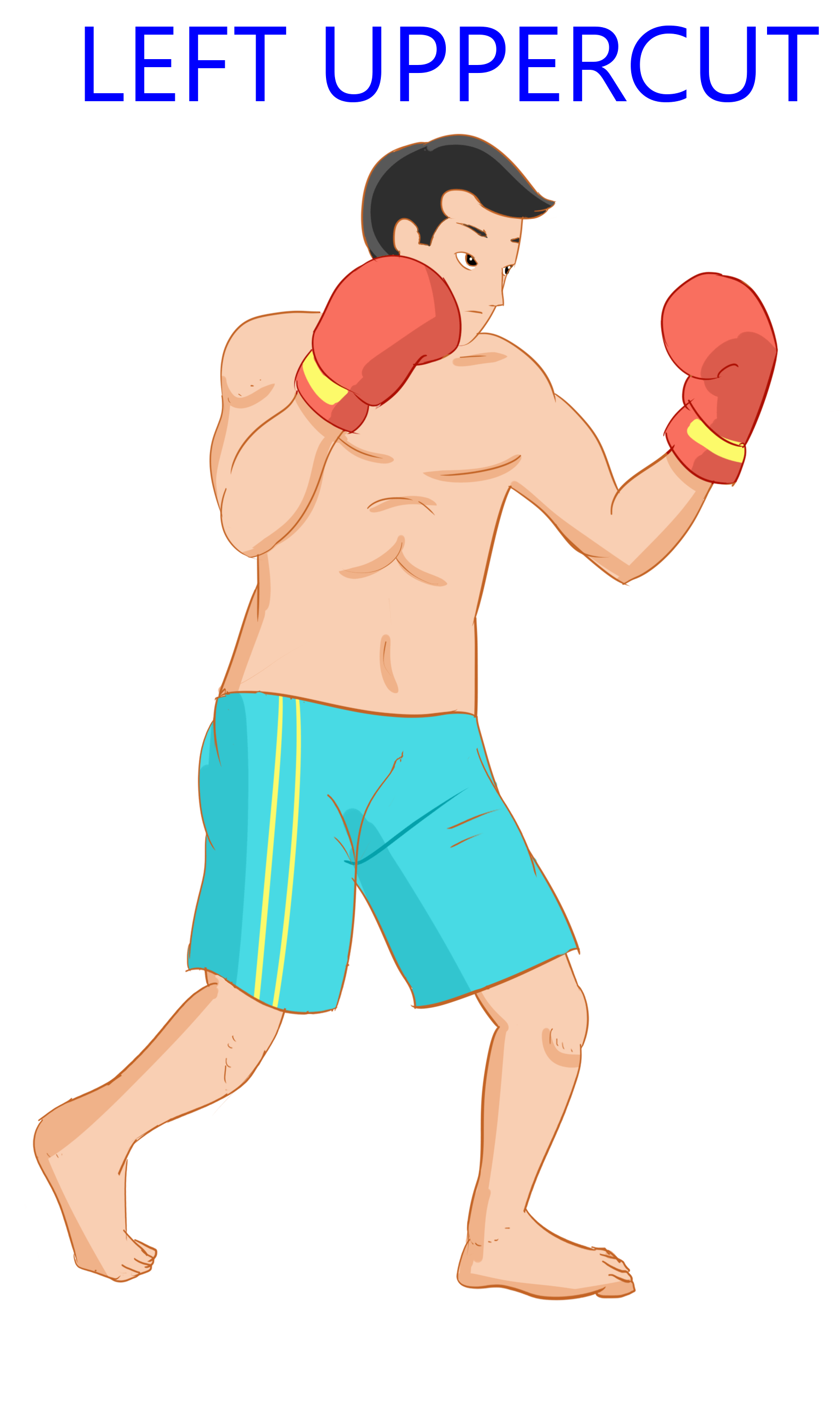 Back to the Basic Punches Naming The 6Punch Boxing Numbering System