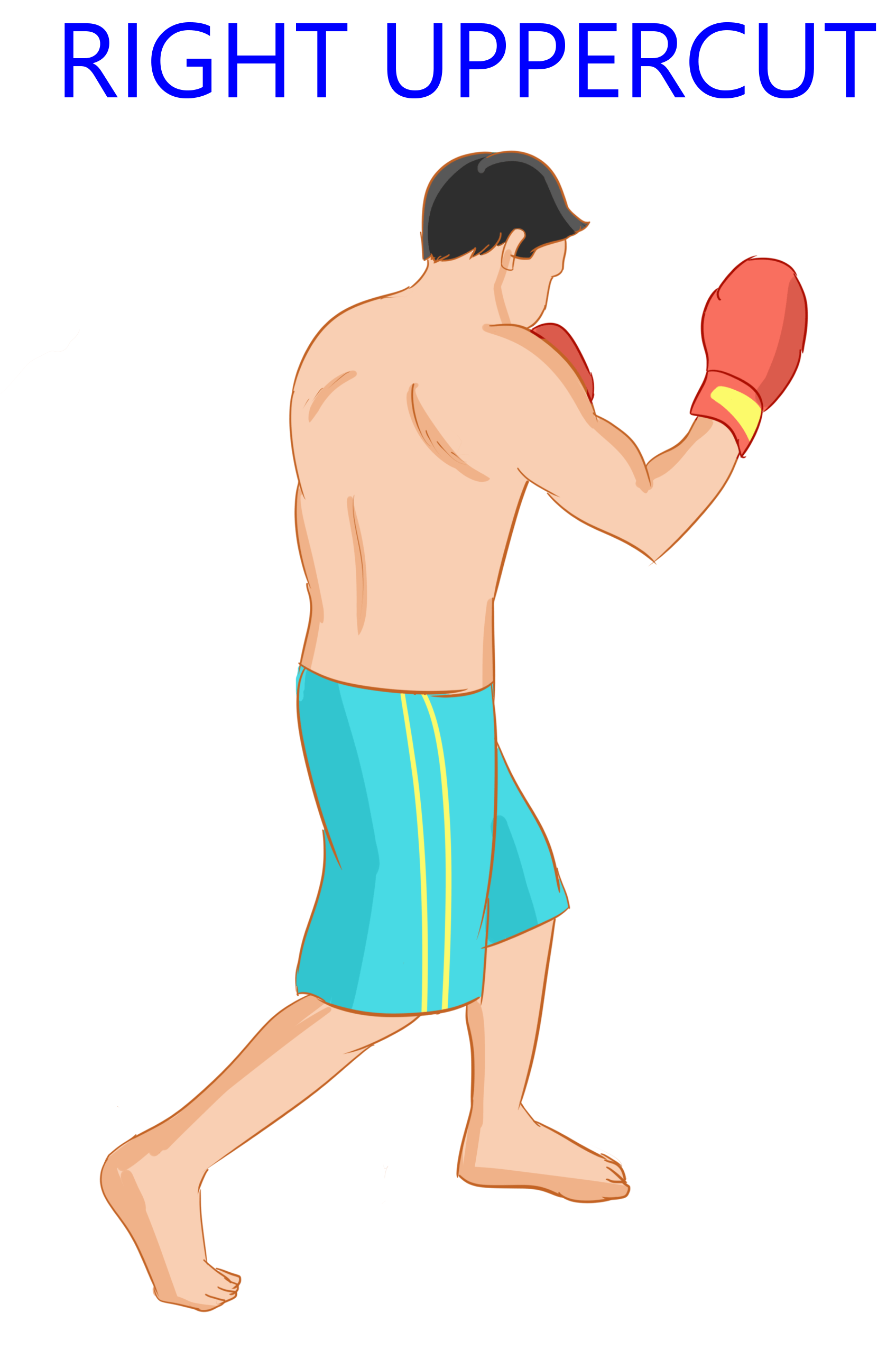 Back to the Basic Punches Naming The 6Punch Boxing Numbering System