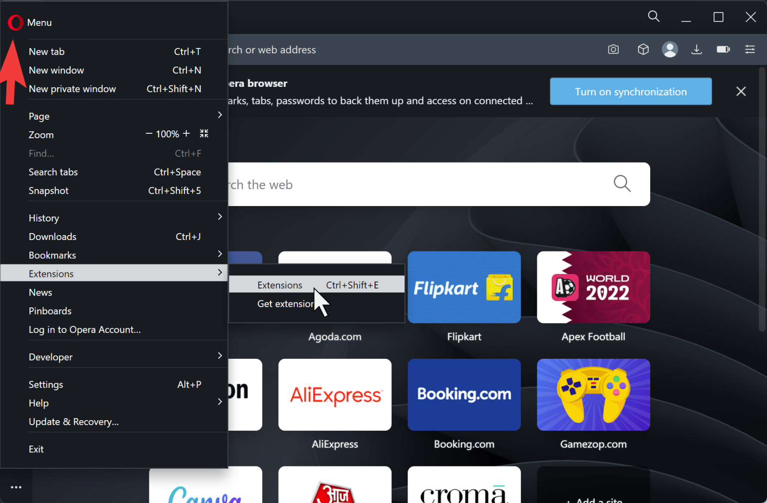 How to Enable Extensions in Opera Private Windows in Windows 11 or 10? Gear Up Windows