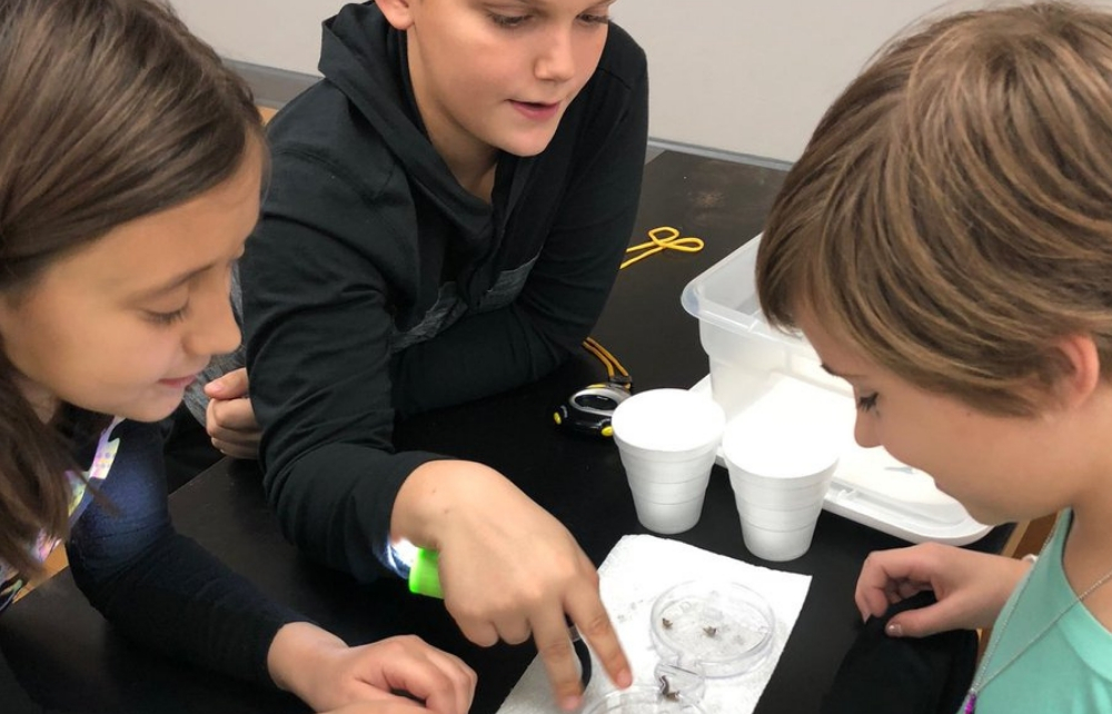 Cardinal Fourth Graders Explore a Science Lab Geauga News