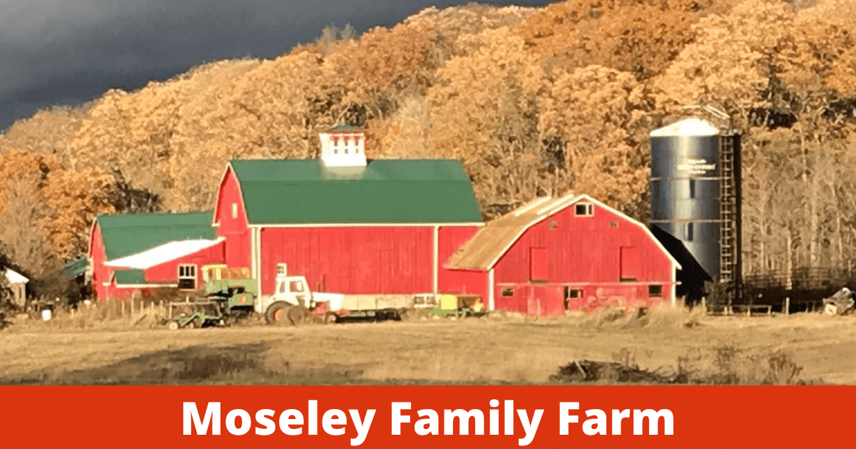 Bicentennial Farms Treasures From the Past Continue to Live On