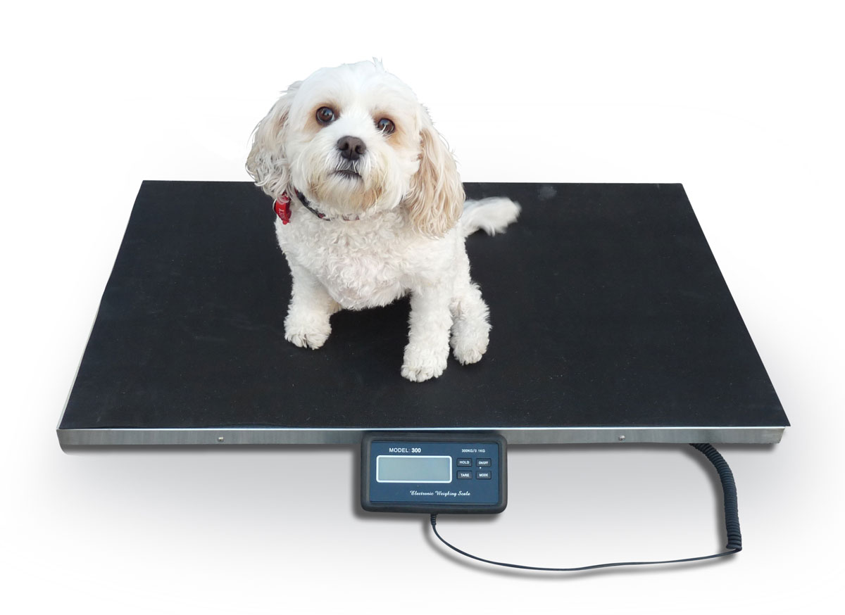 Veterinary Scales Medium