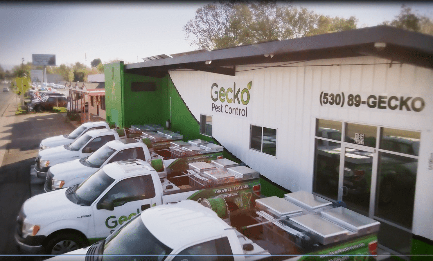 Chico Pest Control Gecko Pest Control