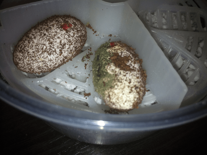 Chronicles of a New Breeder Eggs! Gecko Time Gecko Time