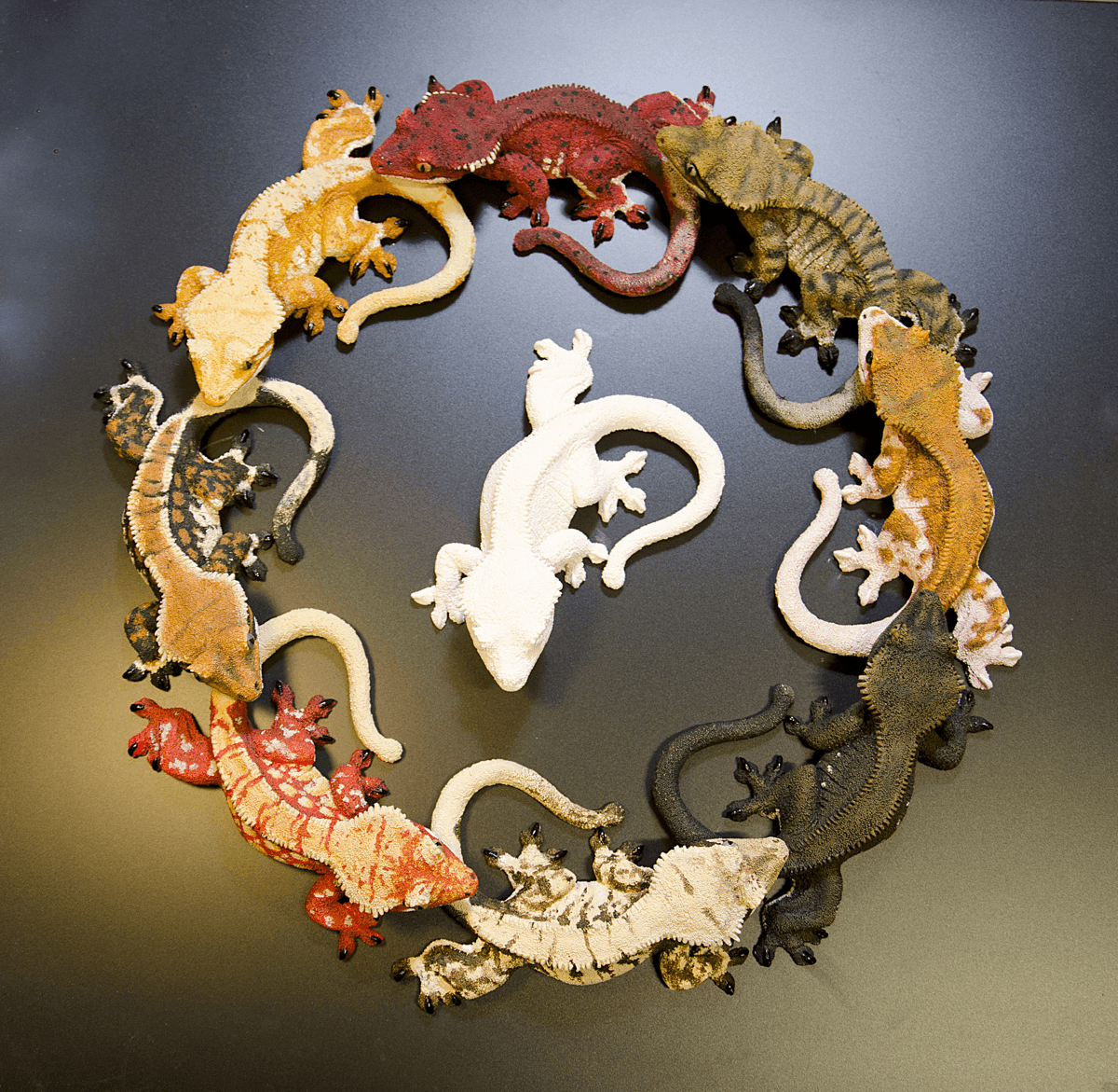 Reptiles An Artistic Perspective Gecko Time