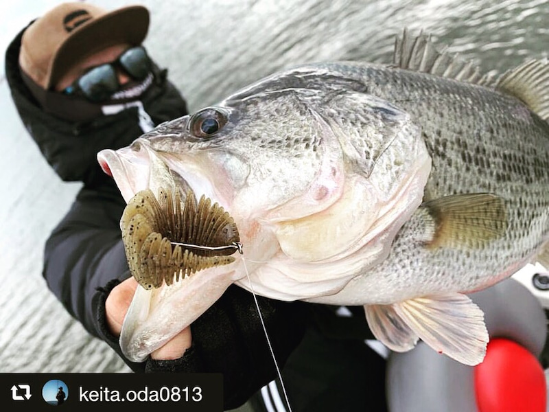 Bellows Gill / Fishing Lake Biwa GEECRACK JAPAN