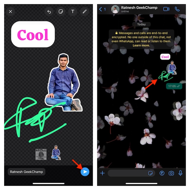 How to Make Custom WhatsApp Stickers on iPhone Like a Pro GeekChamp
