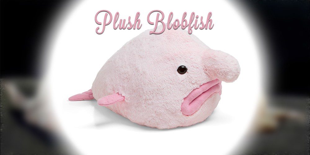 The Plush Blobfish Really Needs a Hug GeekDad(025)