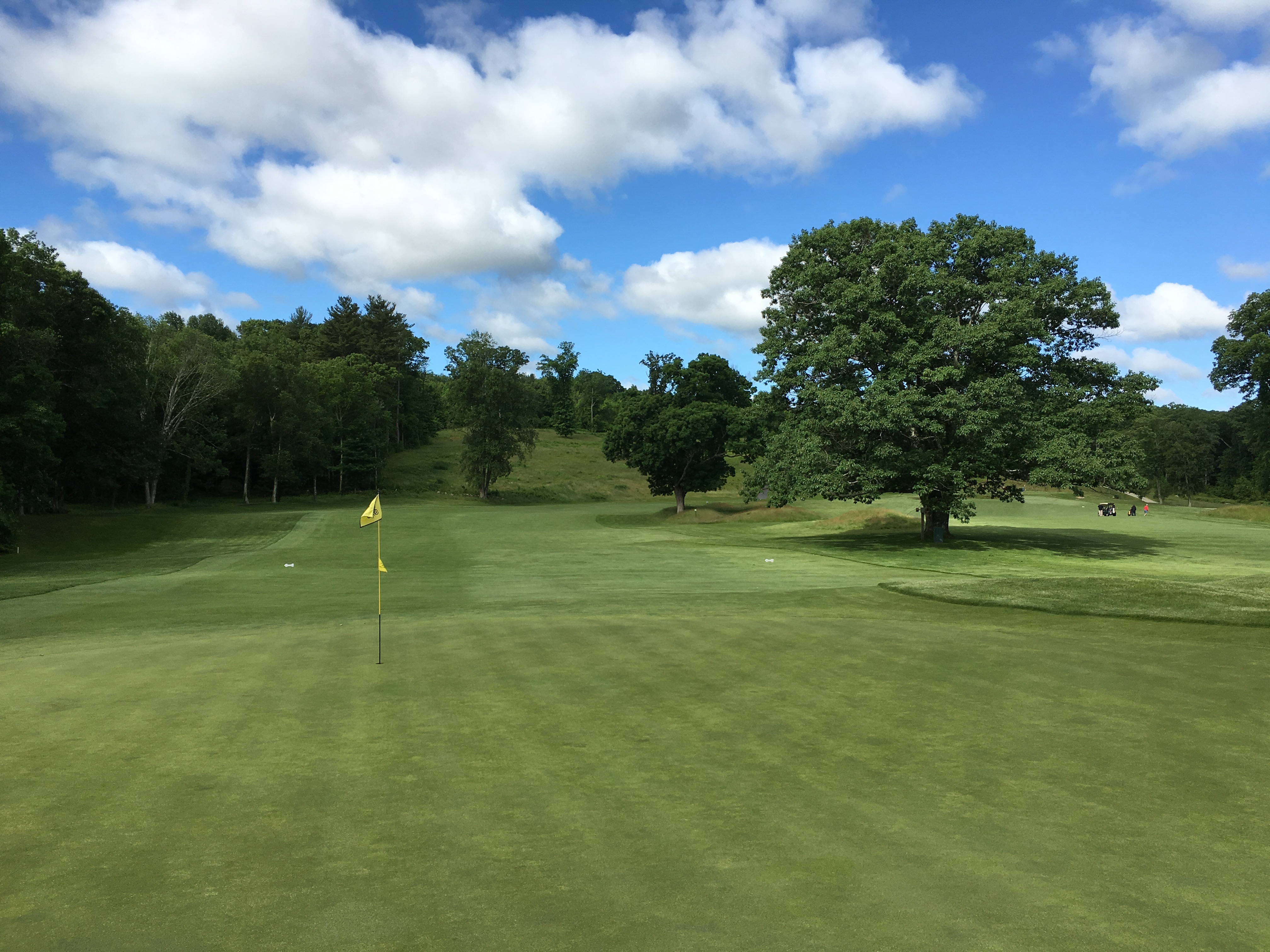 Whitinsville4Greenback GEEKED ON GOLF