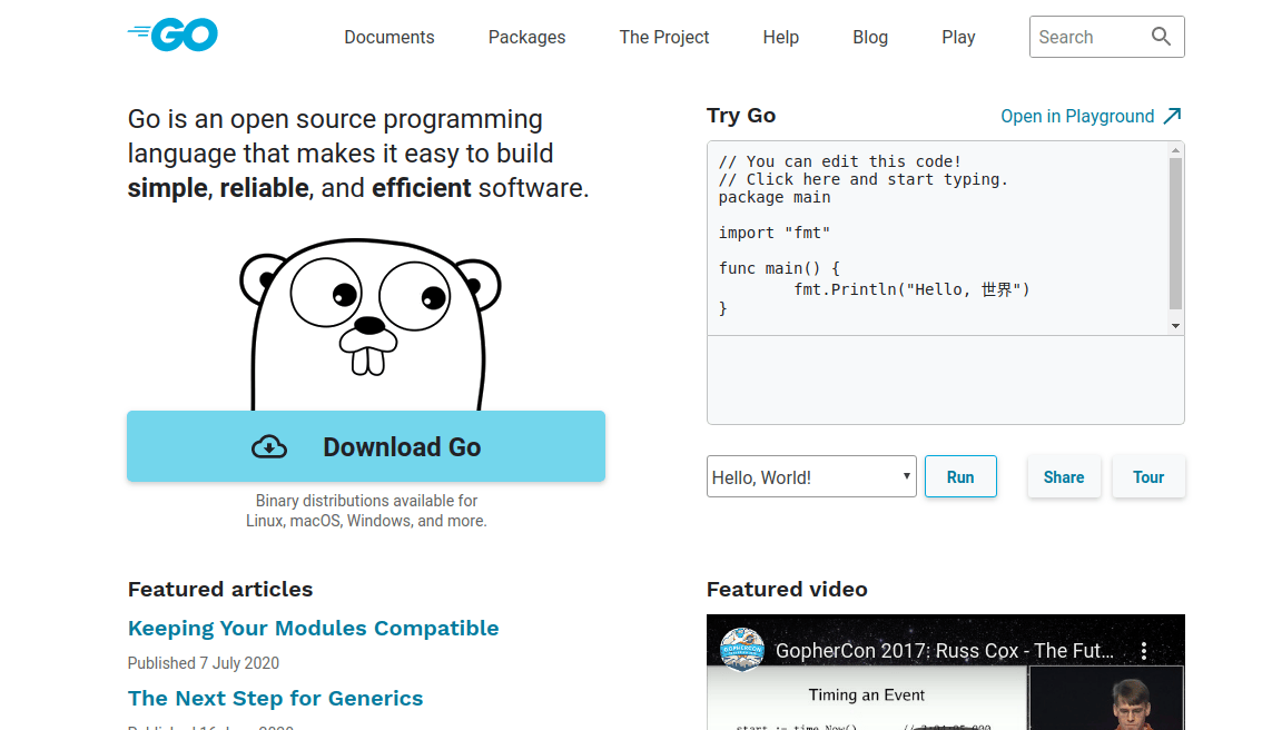 Getting Started with Golang Geekflare