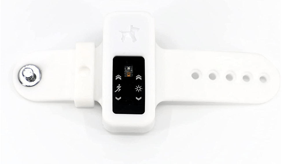 4 Dog Health Activity Trackers To Take Care Of Your Fur Babies geekflare